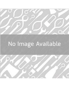 3/8" Drive Long Star Bit Socket T40
