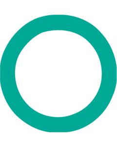 O RING